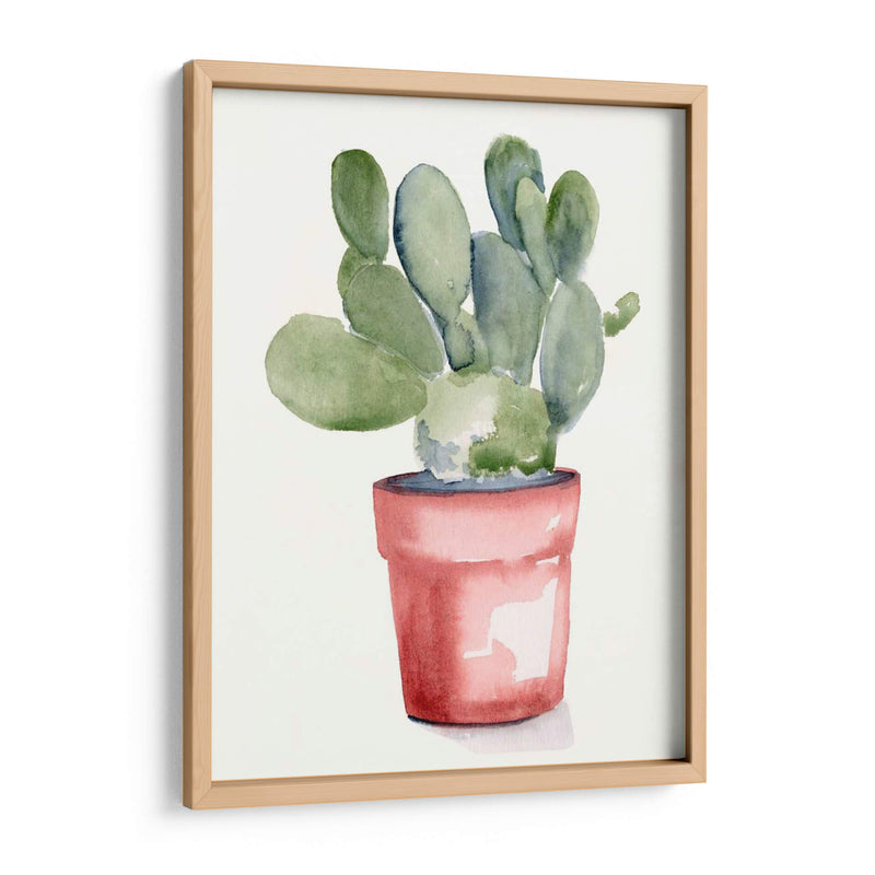 Potted Suculento I - Jennifer Paxton Parker | Cuadro decorativo de Canvas Lab