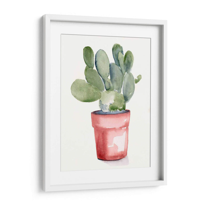 Potted Suculento I - Jennifer Paxton Parker | Cuadro decorativo de Canvas Lab