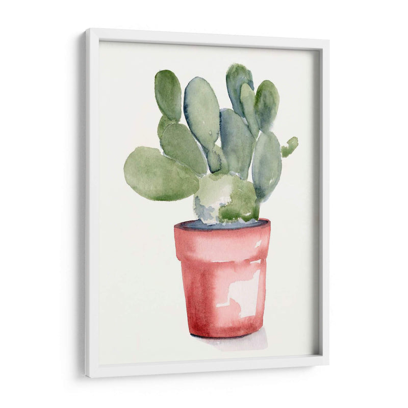 Potted Suculento I - Jennifer Paxton Parker | Cuadro decorativo de Canvas Lab