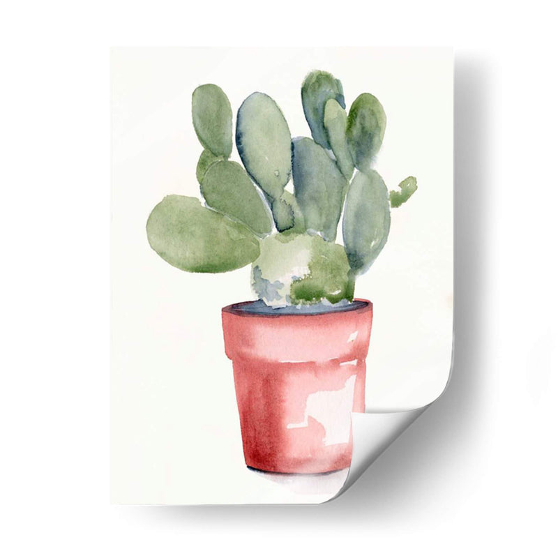 Potted Suculento I - Jennifer Paxton Parker | Cuadro decorativo de Canvas Lab