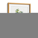 Potted Suculent Ii - Jennifer Paxton Parker | Cuadro decorativo de Canvas Lab
