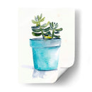 Potted Suculent Ii - Jennifer Paxton Parker | Cuadro decorativo de Canvas Lab