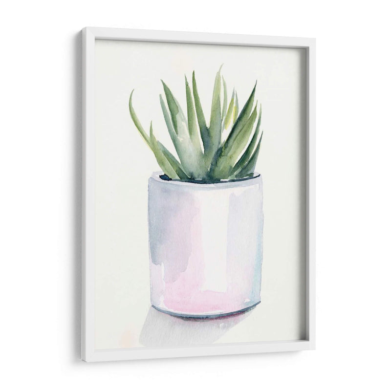 Potted Suculent Iii - Jennifer Paxton Parker | Cuadro decorativo de Canvas Lab