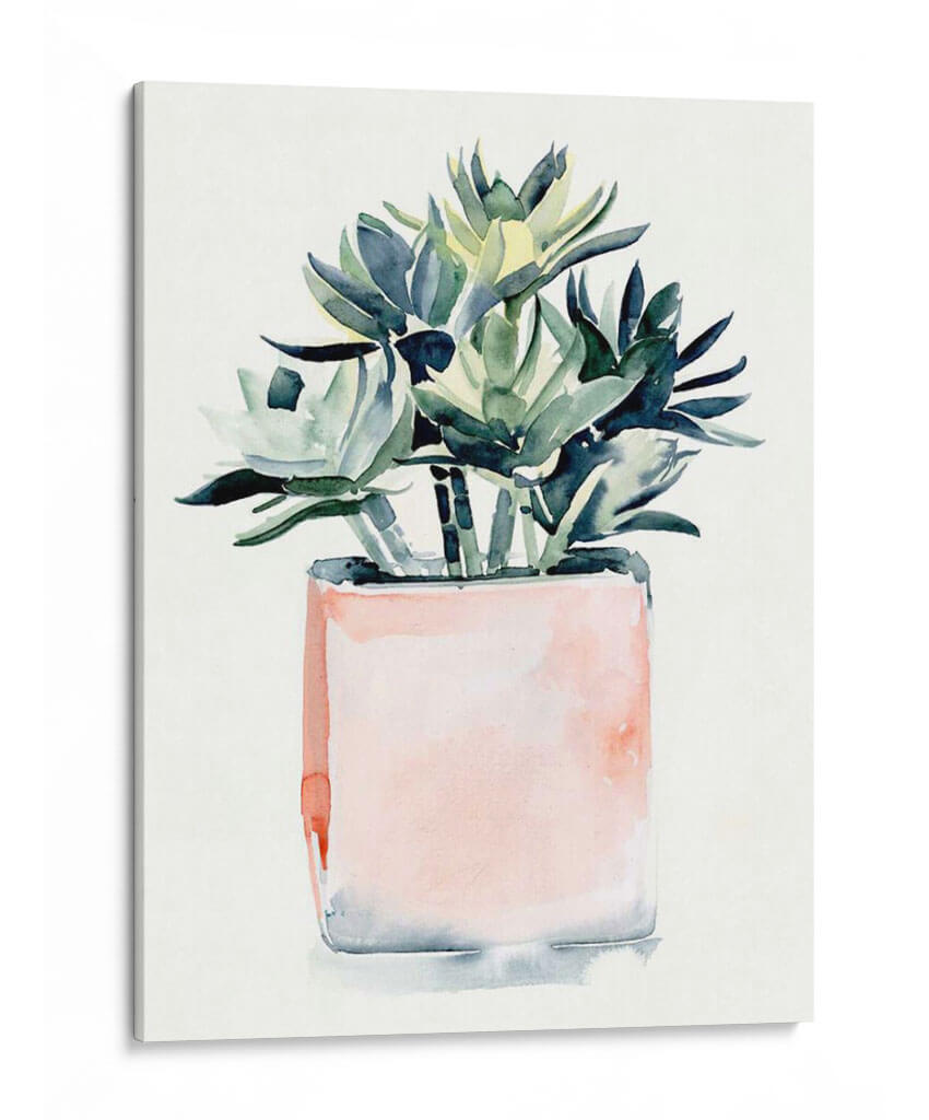 Potted Suculent Iv - Jennifer Paxton Parker | Cuadro decorativo de Canvas Lab