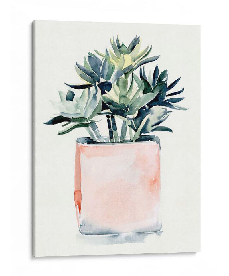 Potted Suculent Iv - Jennifer Paxton Parker | Cuadro decorativo de Canvas Lab