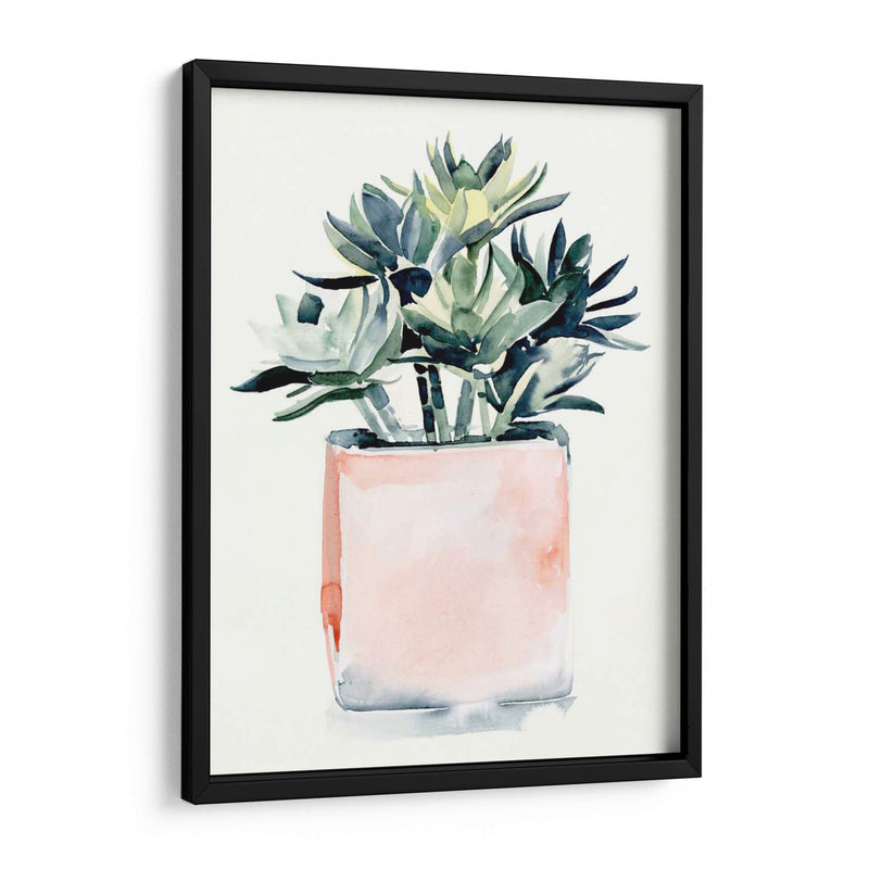 Potted Suculent Iv - Jennifer Paxton Parker | Cuadro decorativo de Canvas Lab