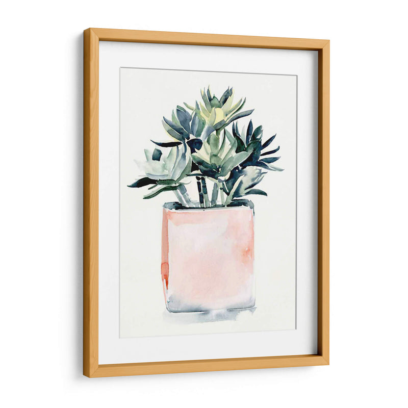 Potted Suculent Iv - Jennifer Paxton Parker | Cuadro decorativo de Canvas Lab