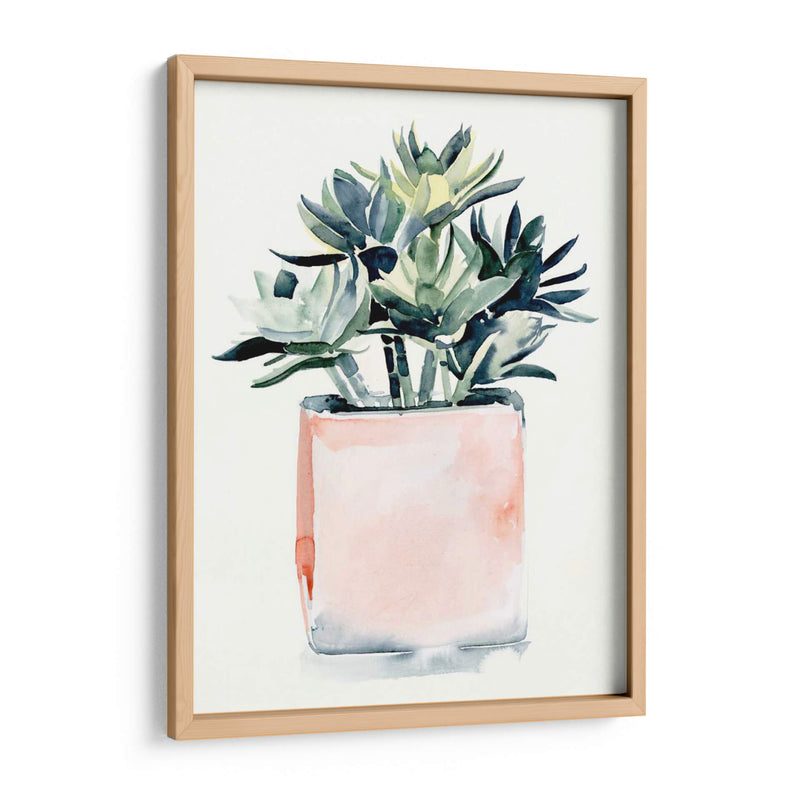 Potted Suculent Iv - Jennifer Paxton Parker | Cuadro decorativo de Canvas Lab