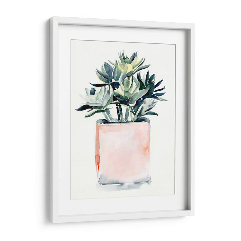 Potted Suculent Iv - Jennifer Paxton Parker | Cuadro decorativo de Canvas Lab