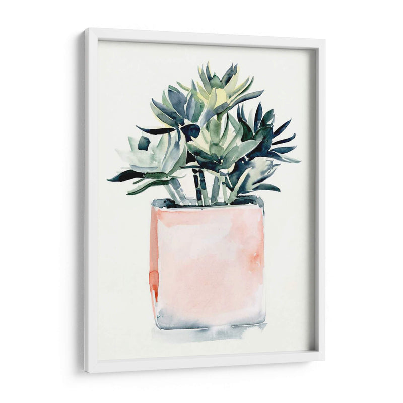 Potted Suculent Iv - Jennifer Paxton Parker | Cuadro decorativo de Canvas Lab