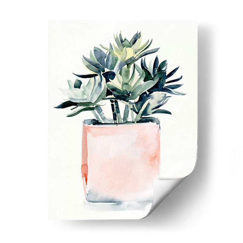 Potted Suculent Iv - Jennifer Paxton Parker | Cuadro decorativo de Canvas Lab