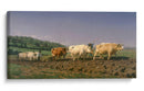 Arando en Nevers - Rosa Bonheur | Cuadro decorativo de Canvas Lab