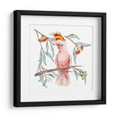 Cockatoo Rosa I - Melissa Wang | Cuadro decorativo de Canvas Lab