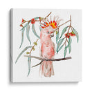 Cockatoo Rosa Ii - Melissa Wang | Cuadro decorativo de Canvas Lab