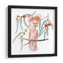 Cockatoo Rosa Ii - Melissa Wang | Cuadro decorativo de Canvas Lab