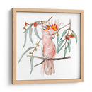 Cockatoo Rosa Ii - Melissa Wang | Cuadro decorativo de Canvas Lab
