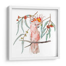Cockatoo Rosa Ii - Melissa Wang | Cuadro decorativo de Canvas Lab