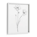 Stem Contour Iii - Jennifer Goldberger | Cuadro decorativo de Canvas Lab