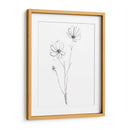Contorno De Tallo Iv - Jennifer Goldberger | Cuadro decorativo de Canvas Lab