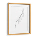 Contorno De Tallo V - Jennifer Goldberger | Cuadro decorativo de Canvas Lab