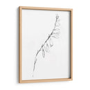 Contorno De Tallo V - Jennifer Goldberger | Cuadro decorativo de Canvas Lab