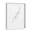 Contorno De Tallo V - Jennifer Goldberger | Cuadro decorativo de Canvas Lab
