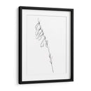 Contorno De Tallo Vi - Jennifer Goldberger | Cuadro decorativo de Canvas Lab