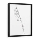 Contorno De Tallo Vi - Jennifer Goldberger | Cuadro decorativo de Canvas Lab