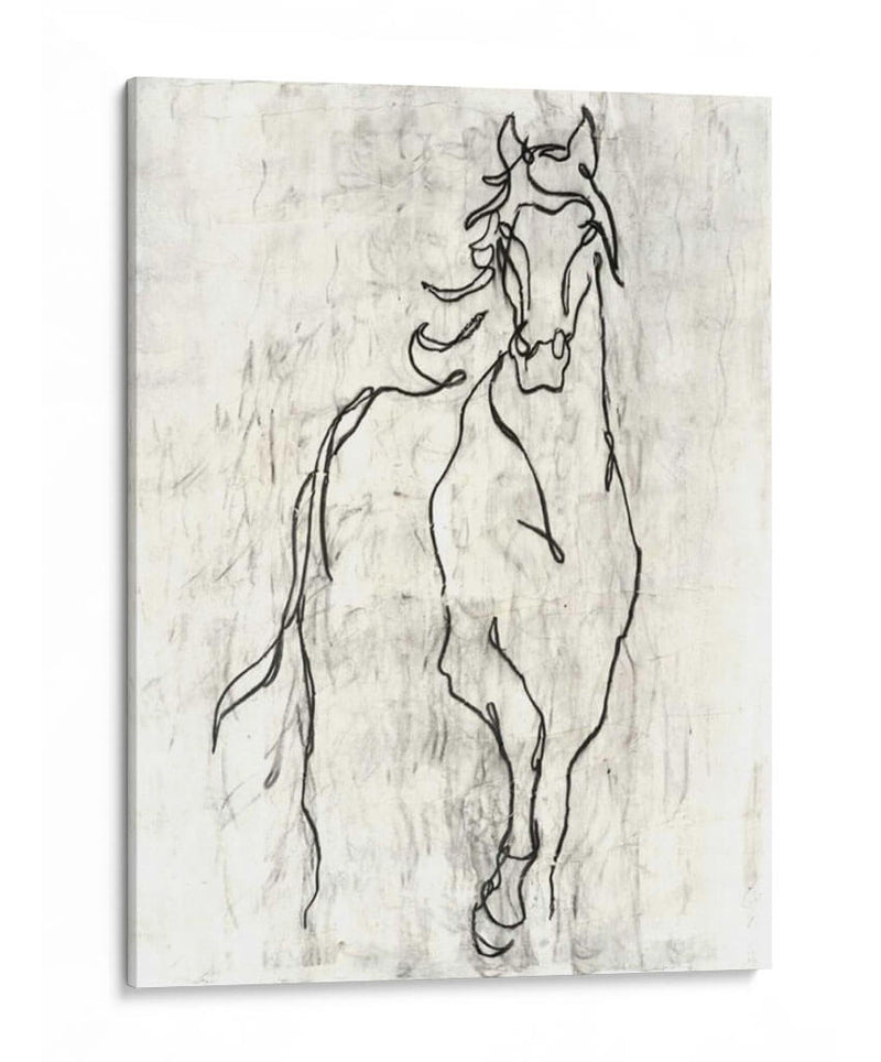 Contorno De Caballo Adornado - Ethan Harper | Cuadro decorativo de Canvas Lab