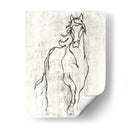 Contorno De Caballo Adornado - Ethan Harper | Cuadro decorativo de Canvas Lab