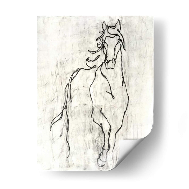 Contorno De Caballo Adornado - Ethan Harper | Cuadro decorativo de Canvas Lab