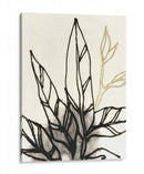Contorno Tropical Adornado Ii - June Erica Vess | Cuadro decorativo de Canvas Lab