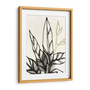 Contorno Tropical Adornado Ii - June Erica Vess | Cuadro decorativo de Canvas Lab