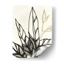 Contorno Tropical Adornado Ii - June Erica Vess | Cuadro decorativo de Canvas Lab