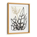 Contorno Tropical Adornado Iii - June Erica Vess | Cuadro decorativo de Canvas Lab