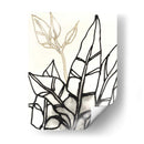 Contorno Tropical Adornado Iii - June Erica Vess | Cuadro decorativo de Canvas Lab