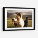 Los tres caballos | Cuadro decorativo de Canvas Lab