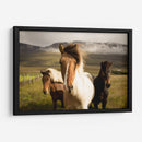 Los tres caballos | Cuadro decorativo de Canvas Lab