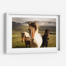 Los tres caballos | Cuadro decorativo de Canvas Lab