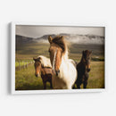 Los tres caballos | Cuadro decorativo de Canvas Lab