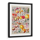 Carta De Frutas - Vision Studio | Cuadro decorativo de Canvas Lab