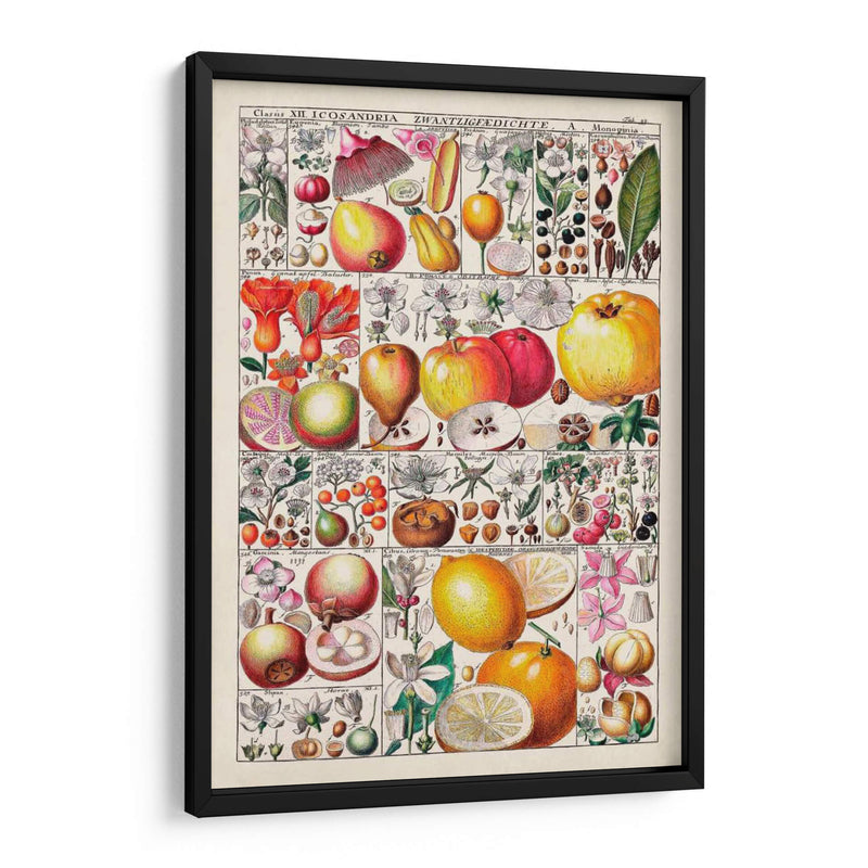 Carta De Frutas - Vision Studio | Cuadro decorativo de Canvas Lab