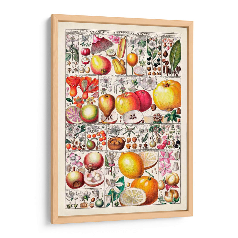 Carta De Frutas - Vision Studio | Cuadro decorativo de Canvas Lab