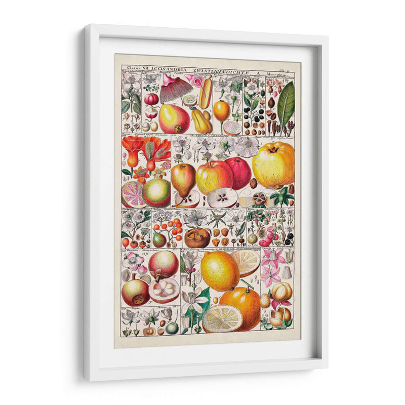 Carta De Frutas - Vision Studio | Cuadro decorativo de Canvas Lab