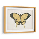 Hermosa Mariposa I - Vision Studio | Cuadro decorativo de Canvas Lab