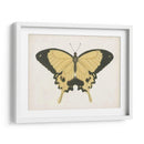 Hermosa Mariposa I - Vision Studio | Cuadro decorativo de Canvas Lab