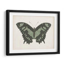 Hermosa Mariposa Ii - Vision Studio | Cuadro decorativo de Canvas Lab