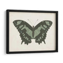 Hermosa Mariposa Ii - Vision Studio | Cuadro decorativo de Canvas Lab