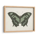 Hermosa Mariposa Ii - Vision Studio | Cuadro decorativo de Canvas Lab