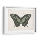 Hermosa Mariposa Ii - Vision Studio | Cuadro decorativo de Canvas Lab